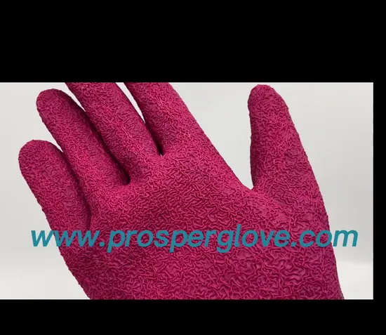 Xingyu Polyester Latex Crinkle Gloves/Garden Gloves/Hand Gloves with Great Grip